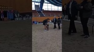 Выставка собак в Ратомке, 27.03.2022 г. Ринг немецких боксеров