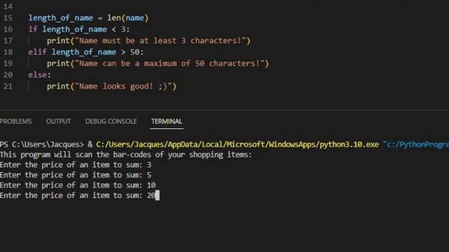 Beginner Python Program Example 11