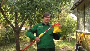 Плодосъёмник