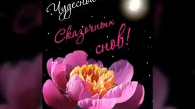 Доброй ночи Ангела ко сну 10302 (0.30) смотреть онлайн