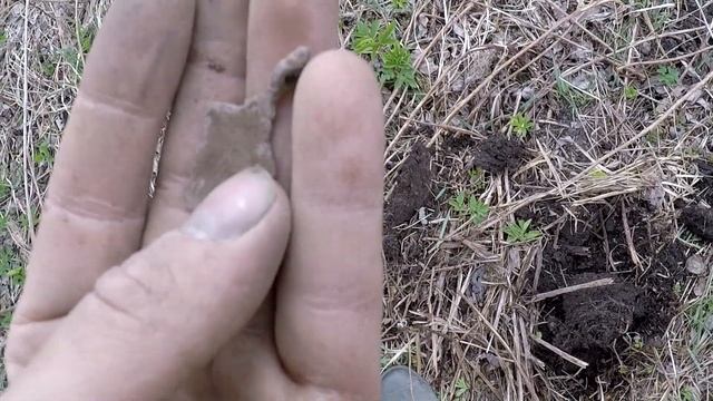 Новичкам везёт на золото! В поиске старины!