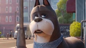 Супер питомцы (2)