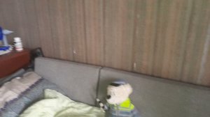 полицай соскуфился...