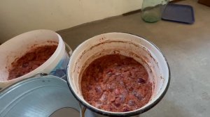 Приготовление домашнего вина из сливы пошаговые  процедуры