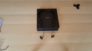 Sony WI-1000X Review