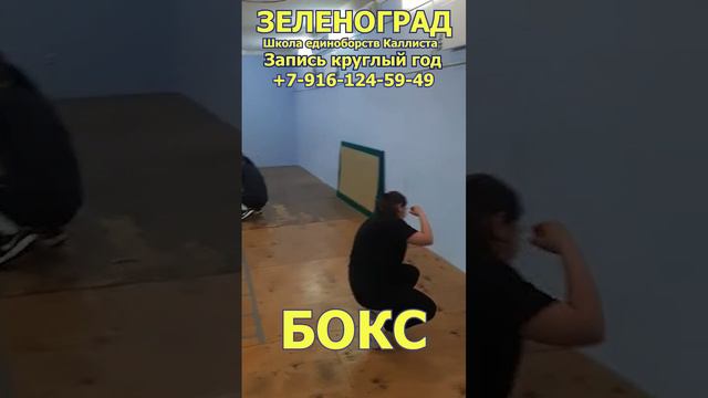 Тренер по боксу в Зеленограде. Запись круглый год