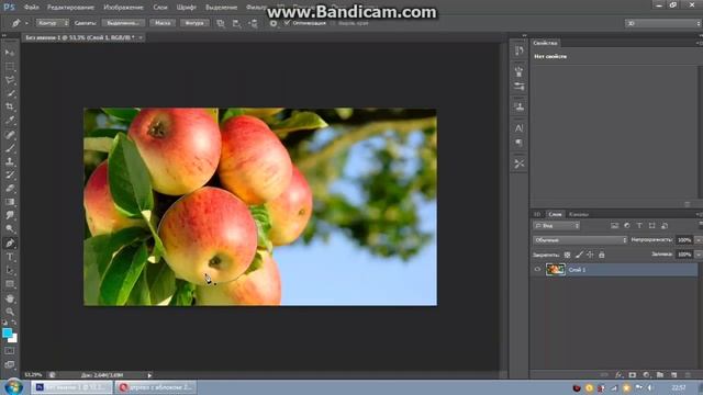 Сделать черно-белое фото с цветными элементами, в фотошопе смотреть онлайн