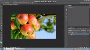 Сделать черно-белое фото с цветными элементами, в фотошопе
