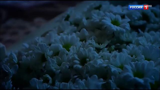 Александр Ратников и Анна Михайловская #КАПИТАНША  Монтаж М.Царева