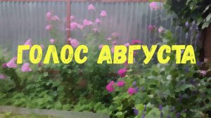 Голос августа | Звонкое лето