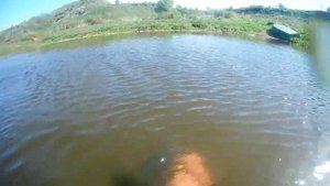 ПОИСК УКРАШЕНИЙ ПОД ВОДОЙ С АСЕЙ 150.