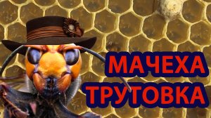 ИСПРАВЛЯЮ ТРУТОВУЮ СЕМЬЮ ПРОСТОЙ СПОСОБ!!!