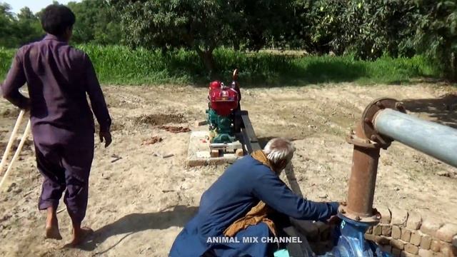 Peter Diesel Engine Start up Diesel Engine Starting up смотреть онлайн