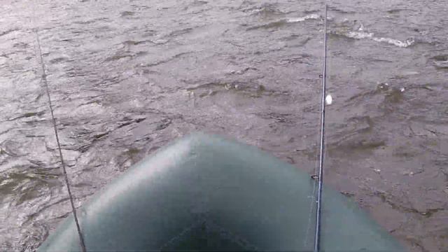 Сплав и не очень удачная рыбалка смотреть онлайн