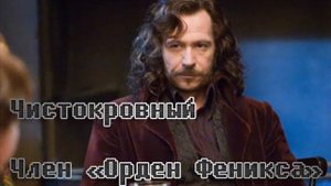 Топ 10 самых сильных волшебников из мира Гарри Поттер