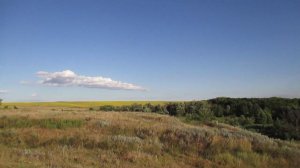 Заброшенная деревня Вязовка, Татищевский район