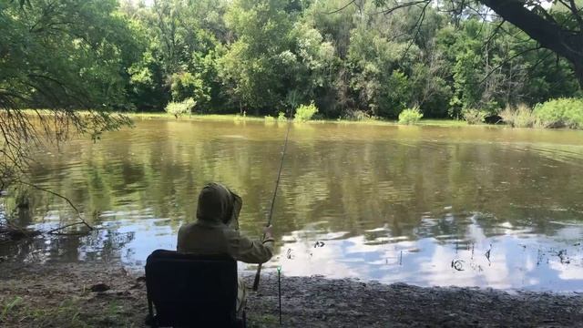 Вот ОНА Реальная Рыбалка в Астрахани / ПРИЕХАЛ НА РЕКУ В ЛЕС смотреть онлайн
