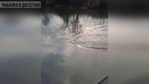 Ловим Кутума на Удочку?Рыбалка в Дагестане?