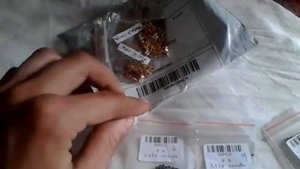 Семена лилии с aliexpress