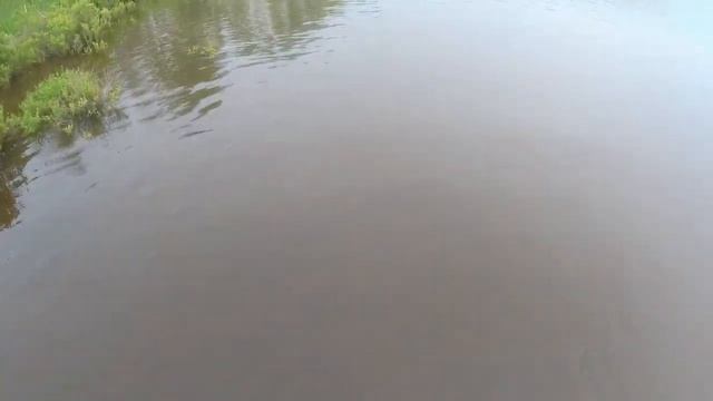 РЫБАЛКА НА СЕТИ!!! Поймал судака! смотреть онлайн