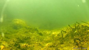 Медведица, река. Волгоградская область.