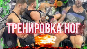 Эффективная тренировка ног без напряга | Тренировка ног |