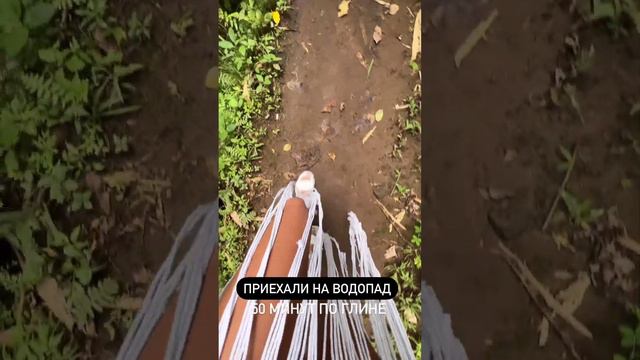 Евгений и Анастасия Ромашовы 10.02.2023