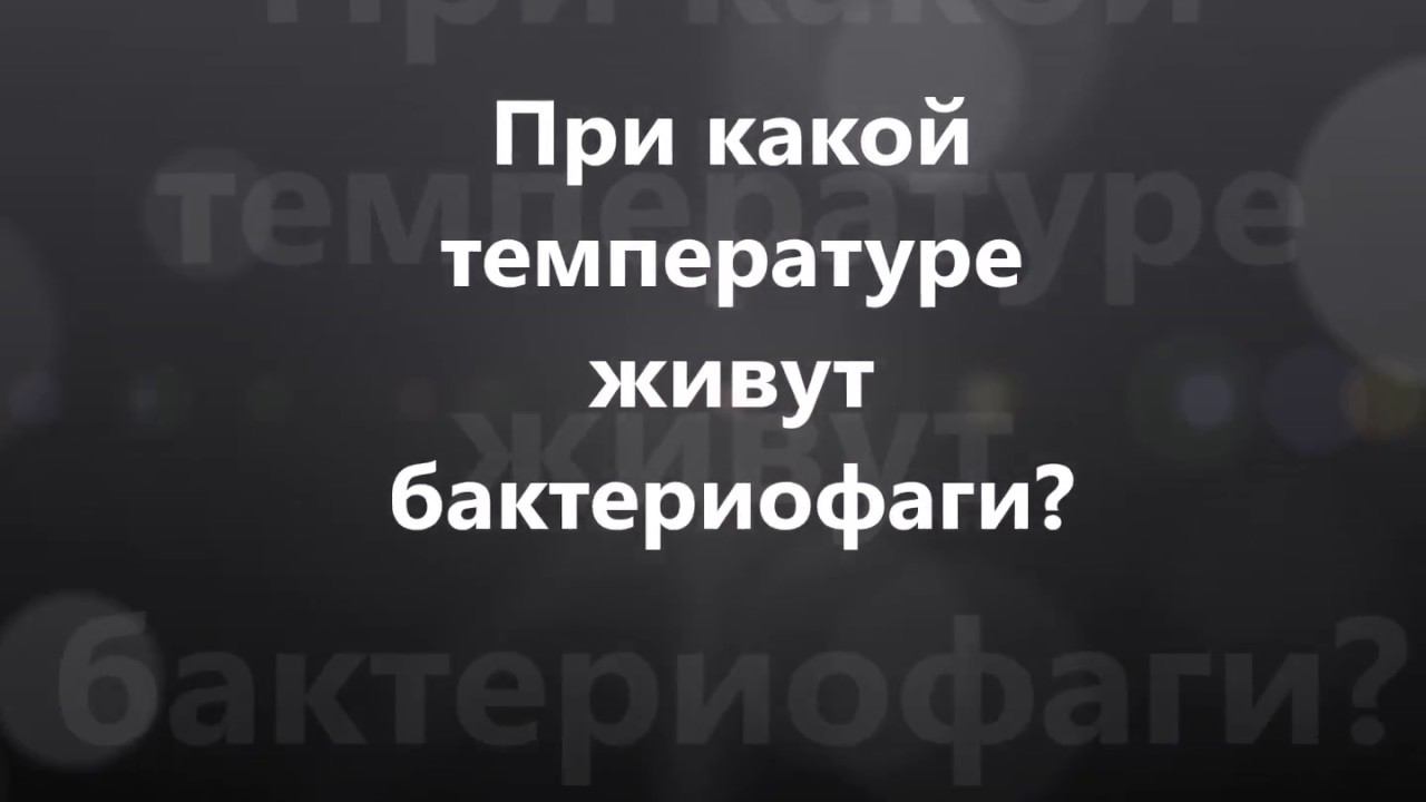 Немного о бактериофагах. В чем суть нашего патента