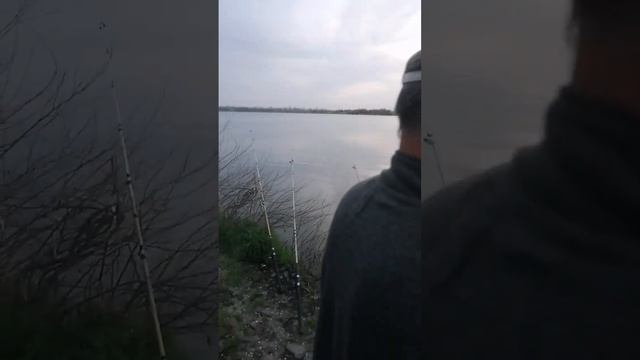 рыбалка река кирпили #рыбалка #fishing