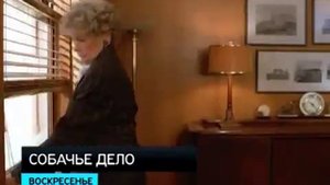 Денни Де Вито и его собака