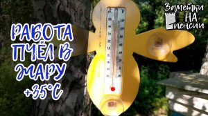 Работа пчел в жару +35 #пчёлы #пасека #деревня