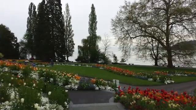 Квантовая физика и сознание. Meersburg. Остров Mainau.