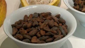 Headway pre -intermediate   Unit 4: What’s good for you?  food  chocolate cheese