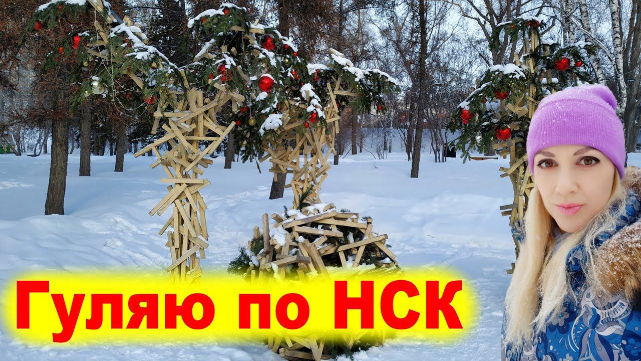 Гуляю по Новосибирску.  Часть 3  Ледовый городок Никулина