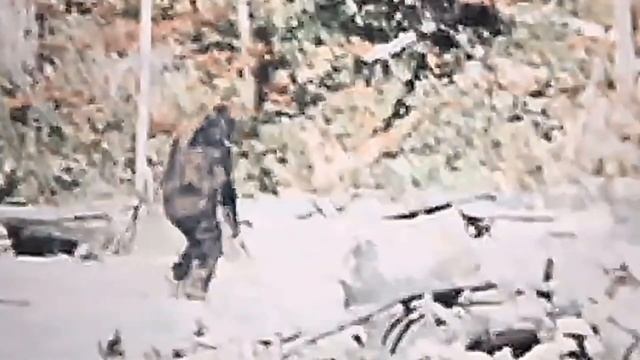 СНЕЖНЫЙ ЧЕЛОВЕК РОДЖЕРА ПАТТЕРСОНА