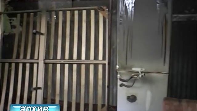 восстановление квартиры после пожара смотреть онлайн