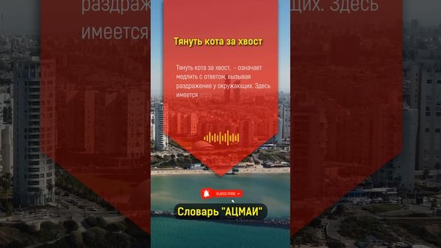 Что означает "тянуть кота за хвост" в Бизнесе?