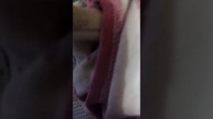 Соски бутилочки