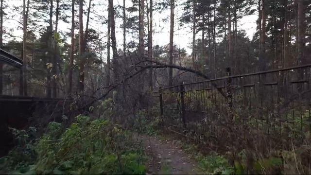Ашмарино ЗАБРОШЕНЫЙ дом отдыха, лагерь #Квадрокоптер #СВысотыПтичьегоПолета