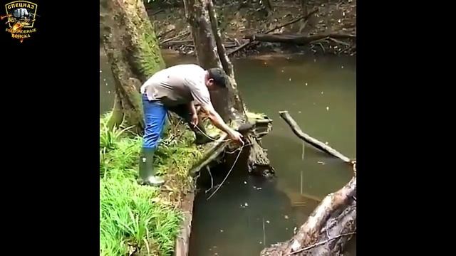 ★Бывалый рыбак/Смешные случаи на рыбалке/Приколы на рыбалке 2020/Девушки на рыбалке/Смешная рыбалка смотреть онлайн