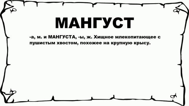 МАНГУСТ - что это такое? значение и описание