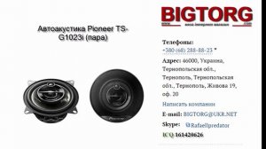 Автоакустика Pioneer TS G1023i пара