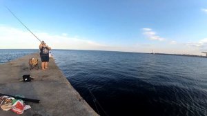 Как поймать саргана на пилькер и бомбарду / Рыбалка это жизнь