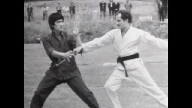 Истинная причина смерти Брюса ли смотреть онлайн