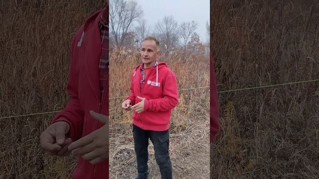 Дизайн Цветочной Фермы от пермакультурной мастерской Изобильный Мир по природоподобным технологиям