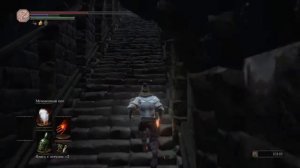 DARK SOULS™ III как забрать барахло из лавы.
