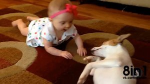 Собака учит ребёнка ползать....Dog teaches Baby to Crawl