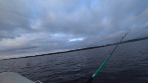 Рыбалка троллингом 25.08.2017