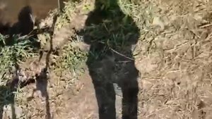 Род-под своими руками