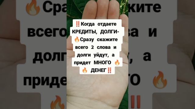 Подпешись на БОГАТСТВО‼️#заговор #магия #обряды #обрядынаденьги #деньги #приметы #заговоры #ритуалы